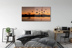 Obraz na akrylátovom skle Lietajúce vtáky sunset 140x70 cm