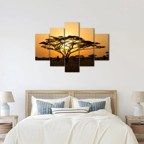 Obraz - Africká savana (150x105 cm)