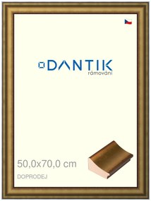DANTIK rám na obraz 50x70 | Doprodej | METAL AU prohlá velká (Plexi Čiré)