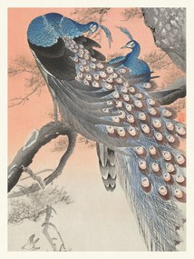 Umelecká tlač Two Peackcoks on a Peach Branch (Japandi Vintage) - Ohara Koson, (30 x 40 cm)