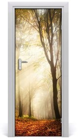 Fototapeta na dvere samolepiace les jeseň 75x205 cm