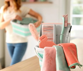 Zmetáčik a lopatka