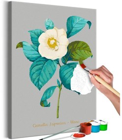 Obraz - maľovaný podľa čísel Beautiful Camellia