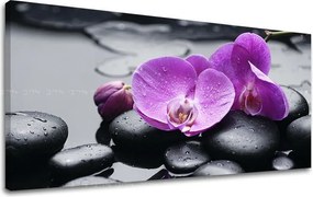 Obraz na stenu PANORÁMA FENG SHUI FS011E13