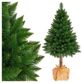SPRINGOS Vianočný stromček Borovica himalájska na kmienku 160 cm