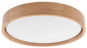 Brilagi - LED stropné svietidlo MANAROLA SIMPLE LED/24W/230V/3000K
