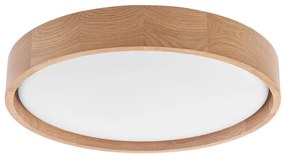 Brilagi - LED stropné svietidlo MANAROLA SIMPLE LED/24W/230V/3000K