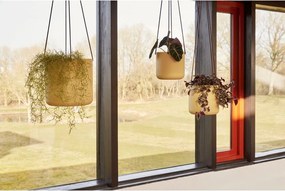 Kovové závesné a nástenné obaly na kvetináče v súprave 3 ks ø 25 cm Bloom – Hübsch