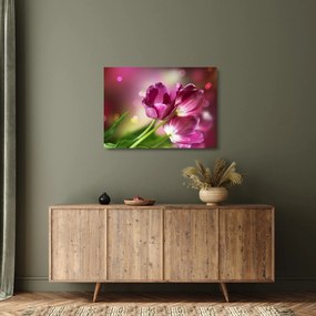 Sklenený obraz ružových tulipánov (70x50 cm)