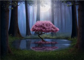 Sklenený obraz - Magická noc (70x50 cm)
