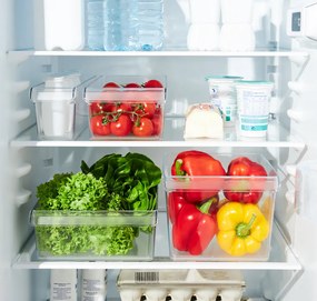 Organizér do chladničky (vstavaný) LOFT FRIDGE - 22x20x15 cm