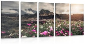 5-dielny obraz lúka kvitnúcich kvetov - 200x100