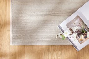 Koberec Ragolle Argentum 64229 6575