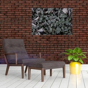 Obraz - Zamrznuté rastliny (90x60 cm)