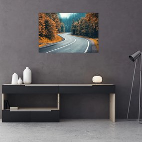 Obraz - Kľukatá cesta (90x60 cm)