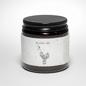 The Candle Brand Vonná sviečka v skle Chamomile with Cedar Wood 90 g