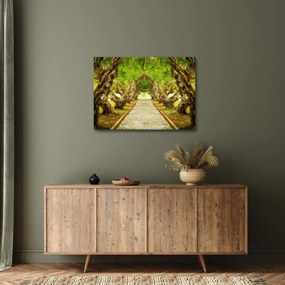 Obraz - Živý tunel z plumérií (70x50 cm)