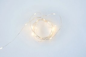 Nexos 57406 LED osvetlenie strieborný drôt, 20 LED, teplá biela