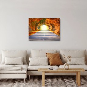 Sklenený obraz - Brána z korún stromov (70x50 cm)