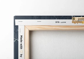 Obraz ovocie vo vode