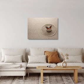 Sklenený obraz - Zenová záhrada (70x50 cm)
