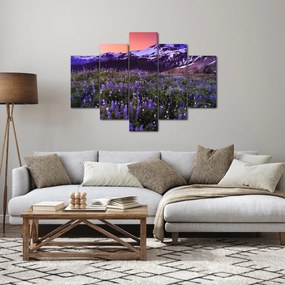 Obraz - Sopka a kvety (150x105 cm)
