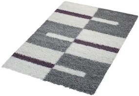 Koberce Breno Kusový koberec GALA 2505 Lila, viacfarebná,120 x 170 cm