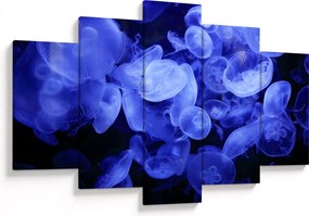 Obraz - Medúzy (150x105 cm)