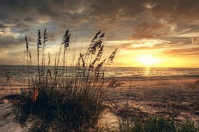 Obraz západ slnka na pláži Varianta: 120x80