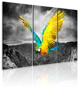 Artgeist Obraz - Bird-of-paradise Veľkosť: 120x80, Verzia: Na talianskom plátne