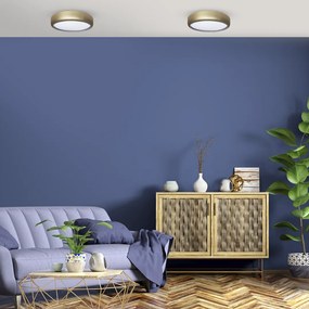 Stropné LED svietidlo Gea, 1x LED 36w, 3000-6000k, g, s ovládačom