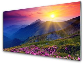 Obraz na skle Hory kvet lúka krajina 120x60 cm
