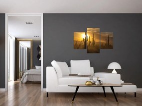 Obraz - Kaktusy Saguaro (90x60 cm)