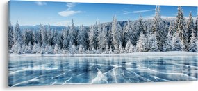 Obraz zamrznutého jazera a zasnežených stromov (120x50 cm)