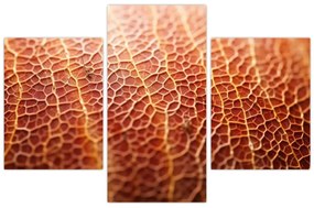 Obraz - Detail textúry (90x60 cm)
