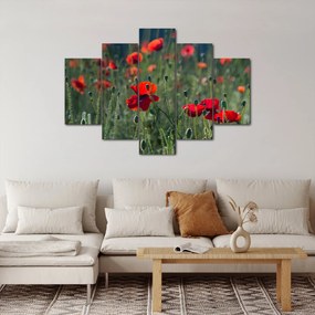 Obraz - Lúka s vlčími makmi (150x105 cm)