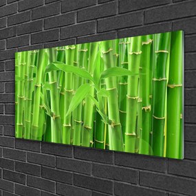 Obraz na skle Bambus stonka kvet rastlina 120x60 cm