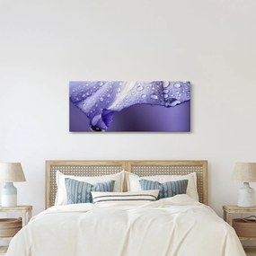 Obraz - Okvetný lístok s kvapkami (120x50 cm)