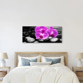 Obraz - Fialové orchidey (120x50 cm)