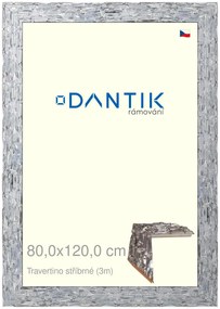 DANTIK rám na obraz 80x120 | TRAVERTINO stříbrné (Plexi Čiré)