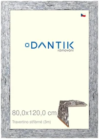 DANTIK rám na obraz 80x120 | TRAVERTINO stříbrné (Plexi Čiré)