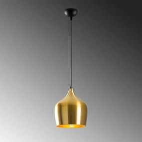 Závesné svietidlo v zlatej farbe s kovovým tienidlom ø 22 cm Dodo – Opviq lights