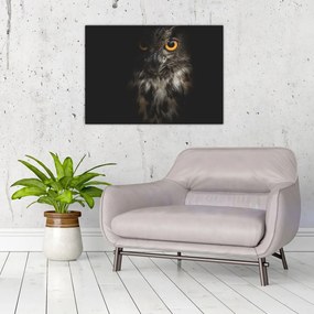 Sklenený obraz sovy (70x50 cm)