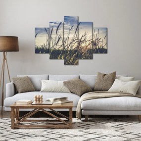 Obraz lúčnych kvetov (150x105 cm)