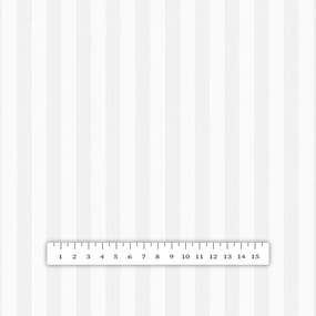 Biante Damašková obliečka na vankúš s lemom Atlas Grádl DM-010 Biela - pásiky 1 cm 30 x 50 cm