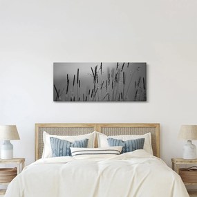 Obraz - Steblá trávy (120x50 cm)