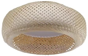 Stropné svietidlo Ama AC-AME271BN PL1