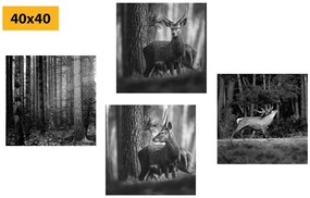 Set obrazov lesné zvieratá v čiernobielom prevedení - 4x 60x60