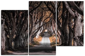 Obraz na plátne - Tmavé ploty v  Irsku 1134FD (150x100 cm)