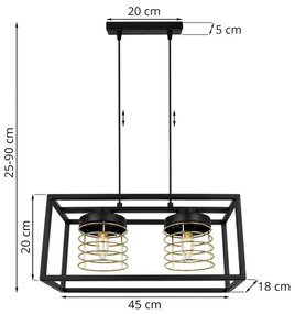 Závesné svietidlo Rasti cage, 2x drôtené tienidlo v kovovom ráme, g